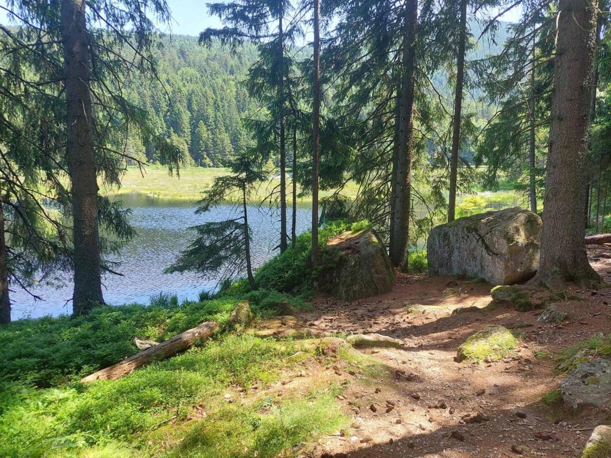 Pension Eichhorn Bayerisch Eisenstein Exteriör bild